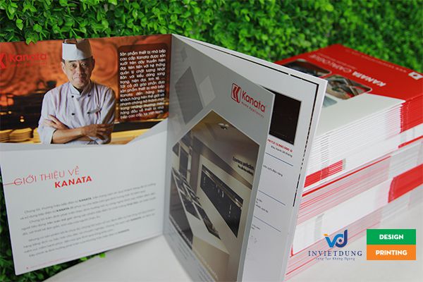 Thiết kế catalogue miễn phí đẹp và chuyên nghiệp