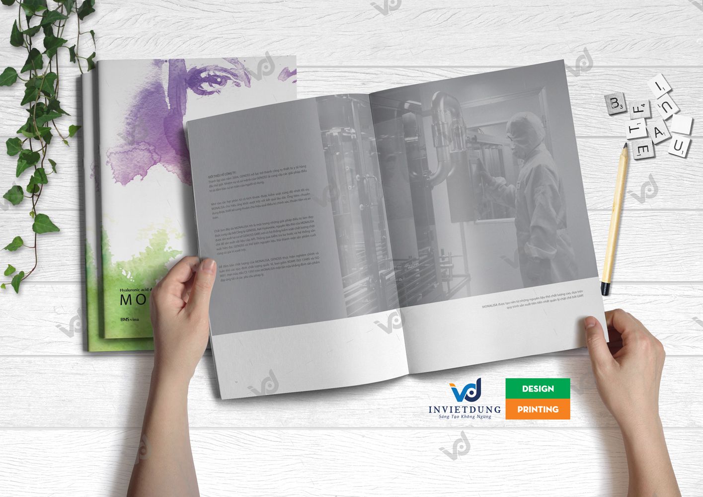 Mẫu catalogue mỹ phẩm đẹp Monalisa