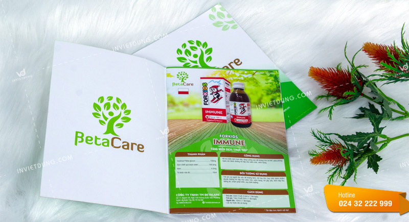 Báo giá in brochure rẻ tại Hà Nội