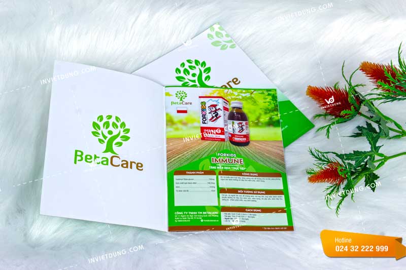 Mẫu catalogue đẹp cho công ty TM BetaCare