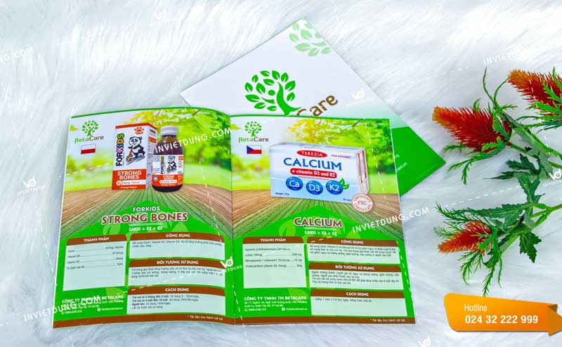 Mẫu catalogue đẹp cho công ty TM BetaCare