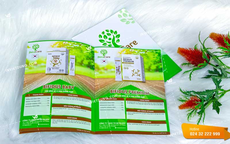Mẫu catalogue đẹp cho công ty TM BetaCare