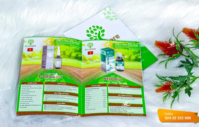 Mẫu catalogue đẹp cho công ty TM BetaCare