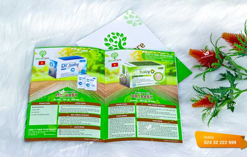 Mẫu catalogue đẹp cho công ty TM BetaCare