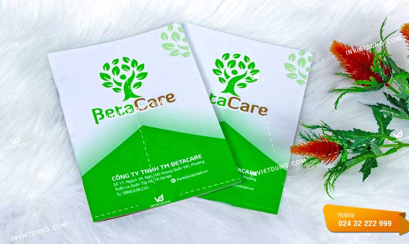 Mẫu catalogue đẹp cho công ty TM BetaCare