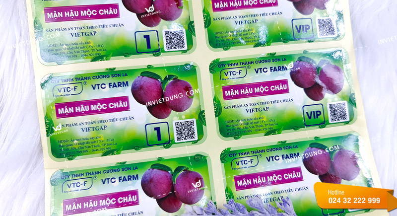 In sticker dán trên hộp mận hậu Mộc Châu, được In Việt Dũng thiết kế có mã QR