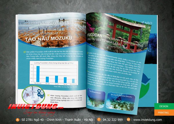 Mẫu catalouge Fucoidan, Mẫu catalogue giới thiệu sản phẩm đẹp ấn tượng