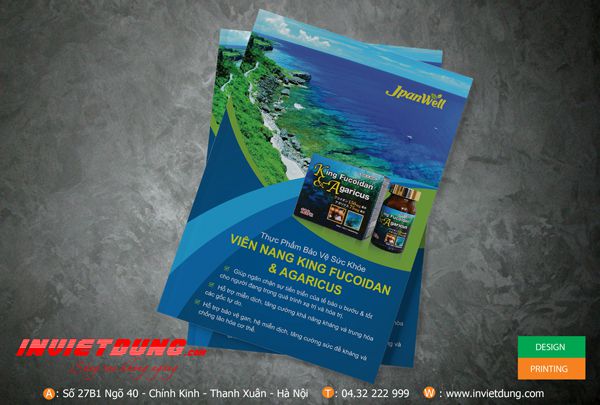 In catalogue tại Hải Phòng