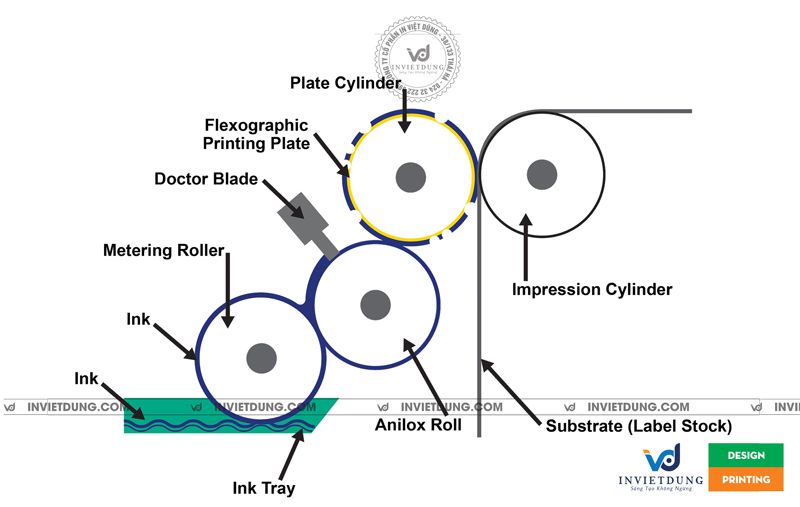 Nguyên lý kỹ thuật công nghệ flexo
