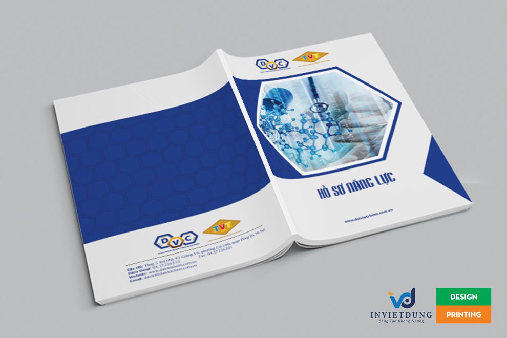 In profile giới thiệu công ty Đại Việt