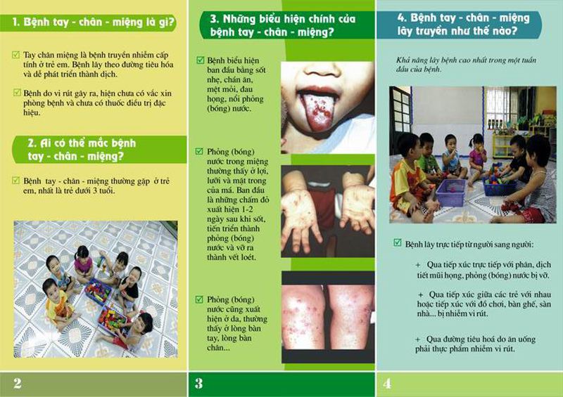 tờ rơi phòng chống bệnh chân tay miệng