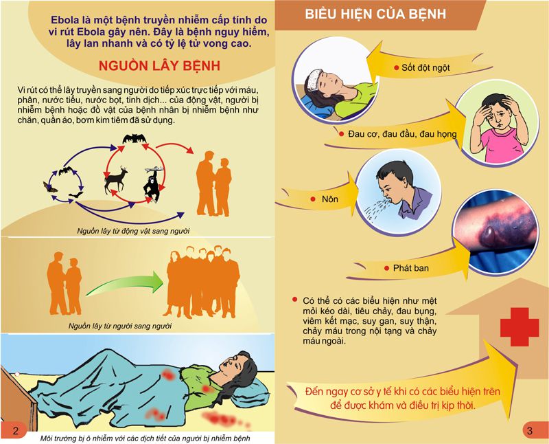 Tờ rơi phòng chống dịch bệnh Ebola