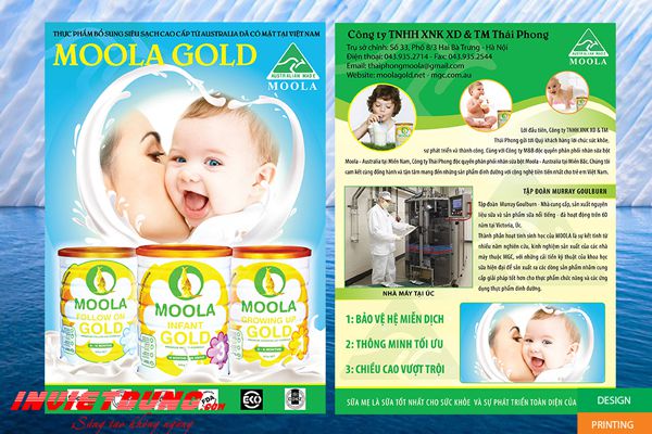 Mẫu tờ rơi nhà thuốc đẹp