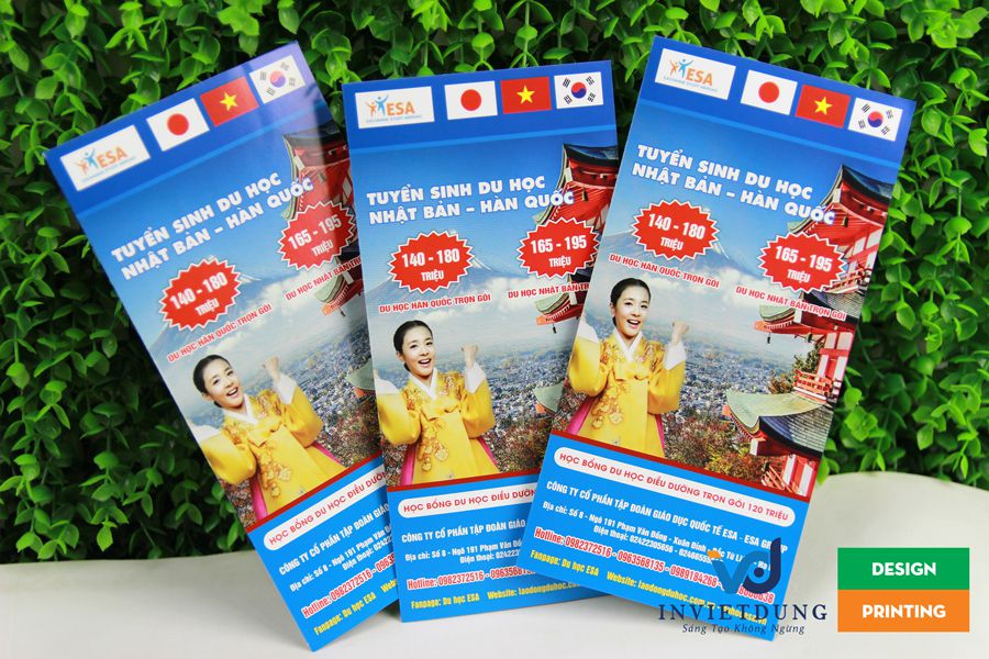 Mẫu tờ rơi quảng caó tuyển dinh du học đẹp công ty ESA Mẫu tờ rơi quảng caó tuyển dinh du học đẹp công ty ESA