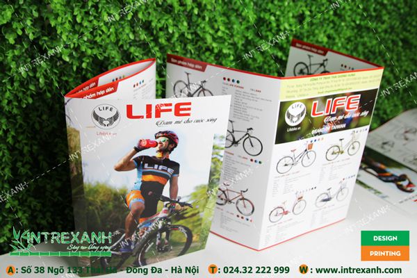 Mẫu tờ rơi gấp 3 đẹp quảng cáo xe đạp