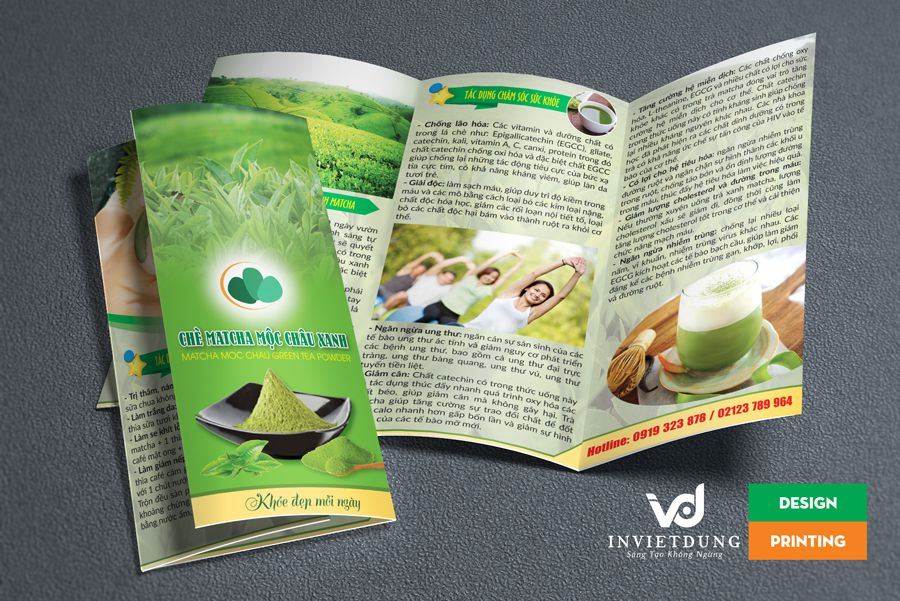 Thiết kế brochure chè matcha Mộc Châu Xanh