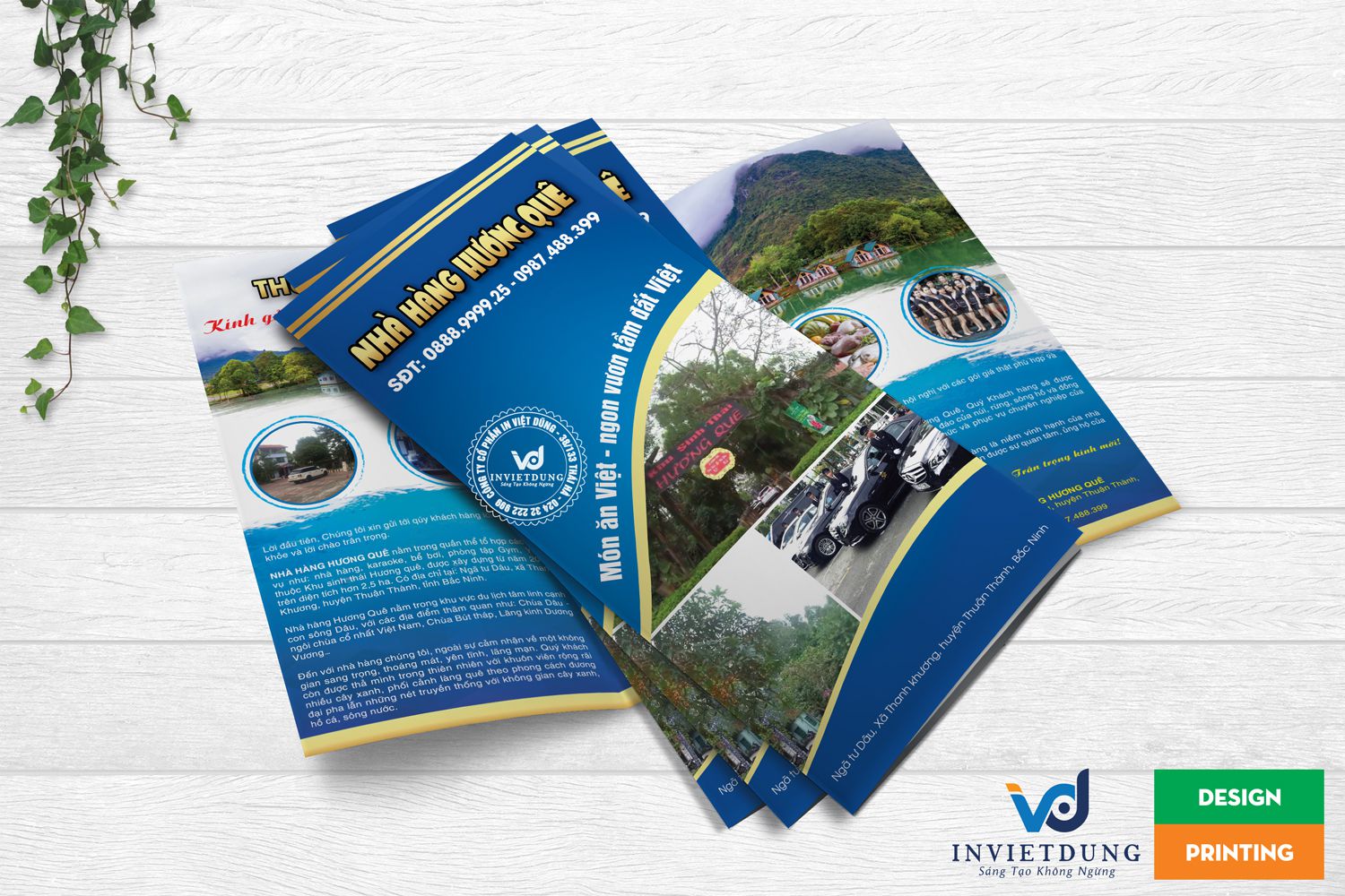 Thiết kế Brochure chuẩn