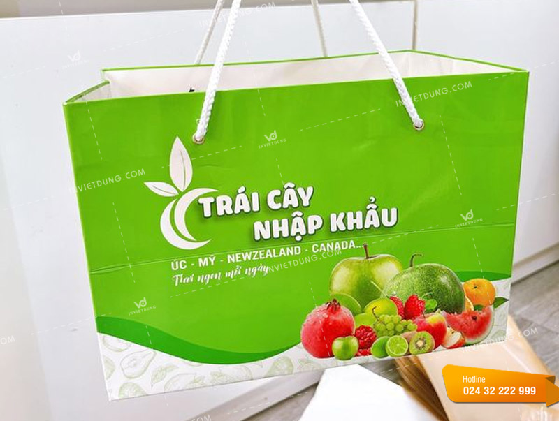 Mẫu túi xách giấy đựng trái cây nhập khẩu