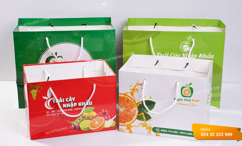 Mẫu túi bằng giấy đựng hoa quả đẹp ấn tượng