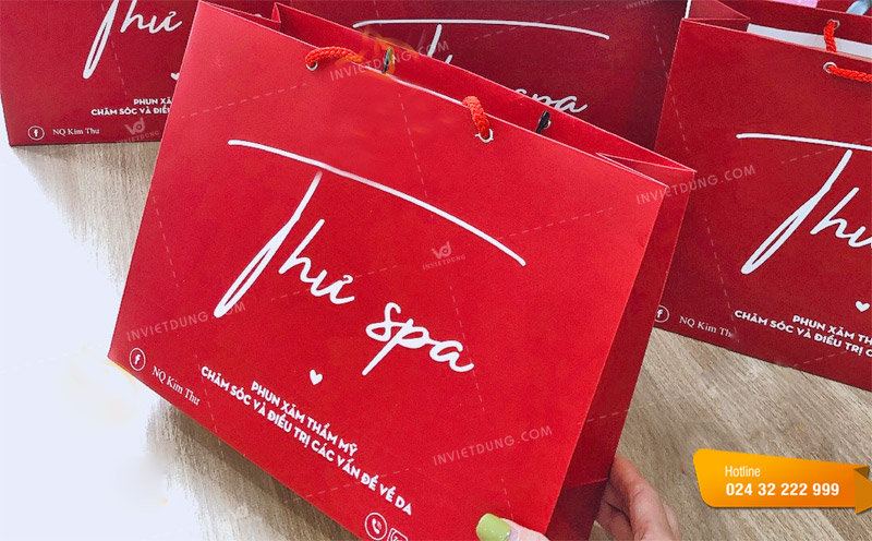 Mẫu túi giấy Thư Spa do In Việt Dũng thiết kế và in ấn