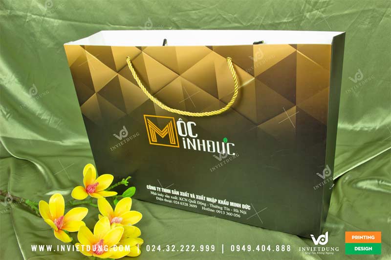 Mẫu túi giấy mỹ thuật công ty xuất nhập khẩu Minh Đức