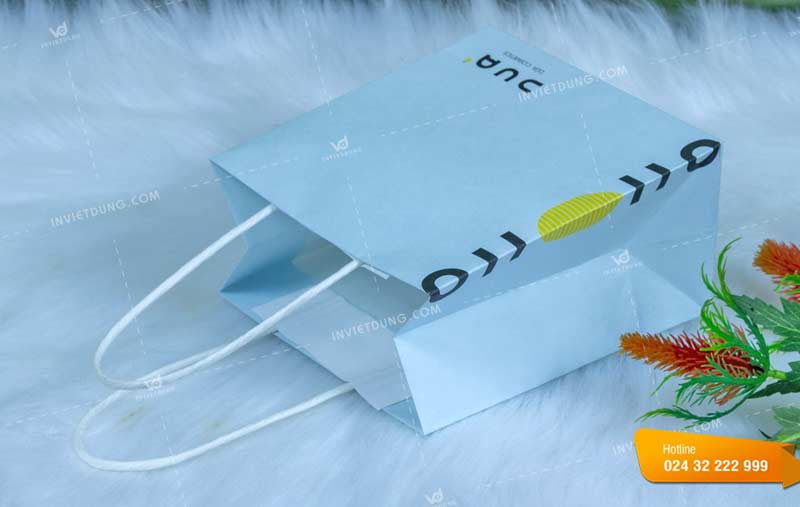 Mẫu túi giấy cao cấp đựng trang sức do In Việt Dũng thiết kế và in ấn