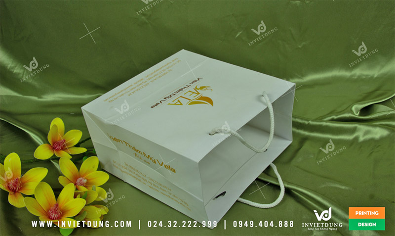 Mẫu túi giấy thẩm mỹ viện Vela