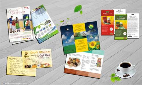 Lựa chọn các mẫu brochure lấy ngay